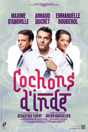 COCHONS D'INDE